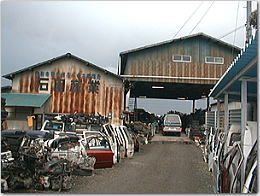 image1.jpg